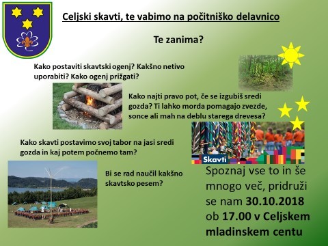 Celjski skavti: počitniška delavnica 