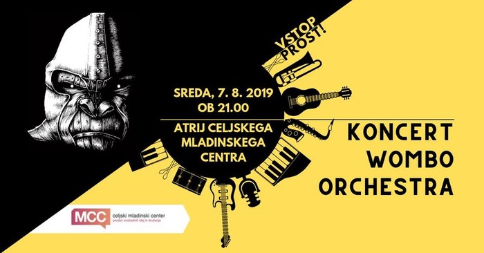 Koncert WOMBO Orchestra
