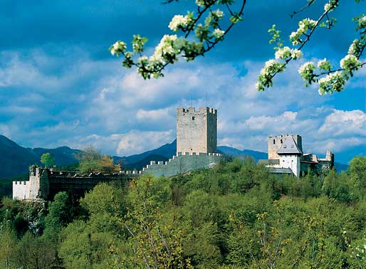 Attractions of Celje