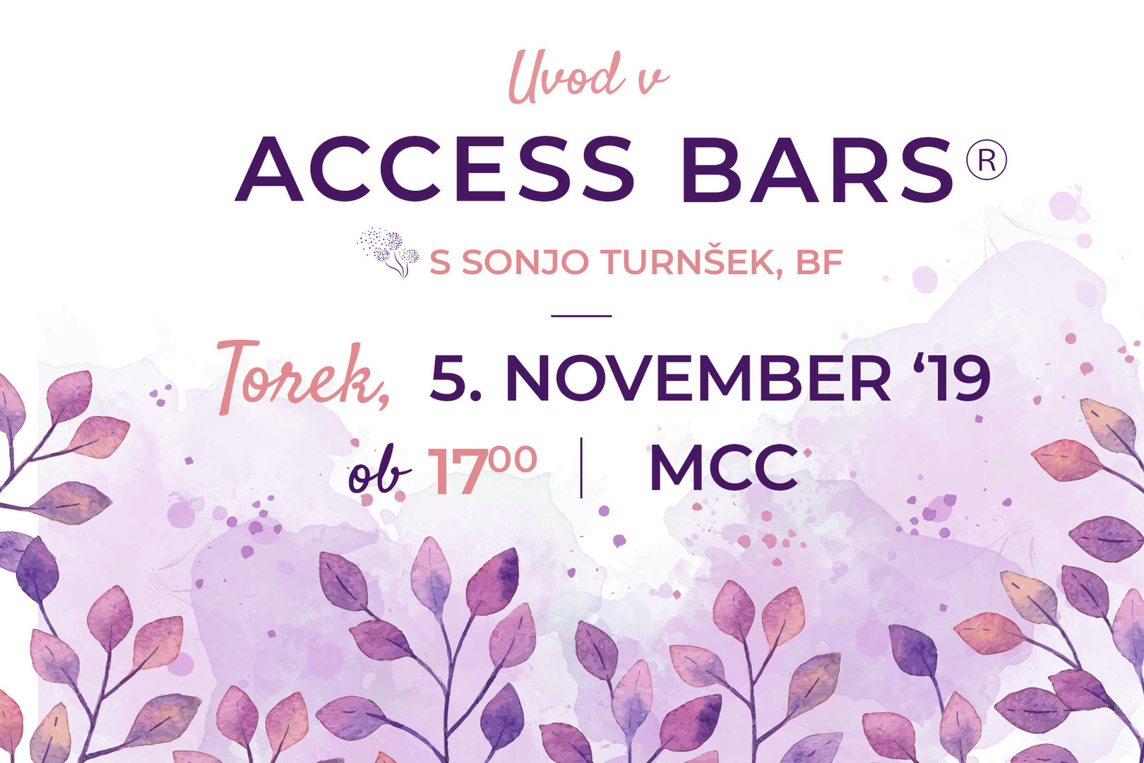 Uvod v Access Bars®
