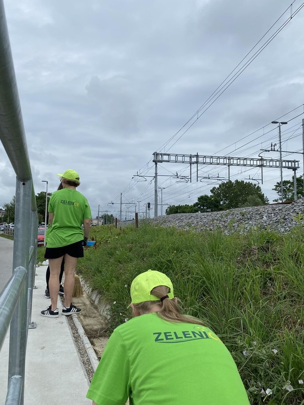 Počitniško delo: Zelenice, Desetka, PGE Celje